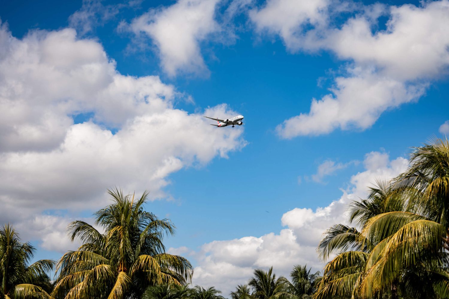 A plane flying through the sky over some palm trees.