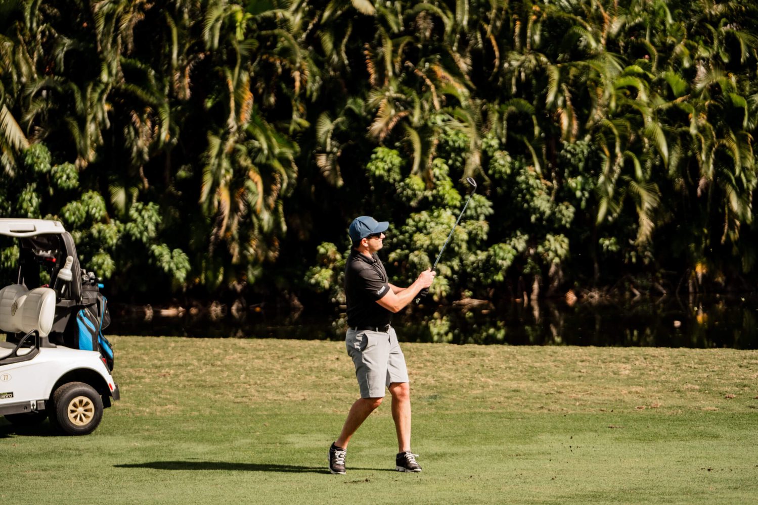 A man in black shirt holding a frisbee on green grass.