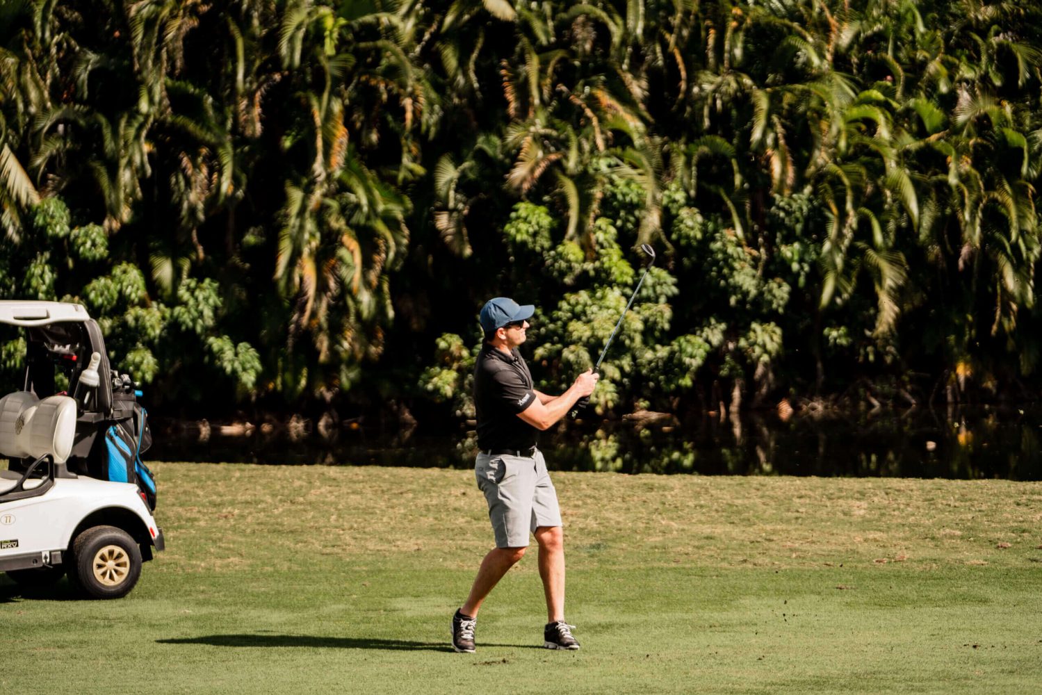 A man in black shirt holding a frisbee on green grass.