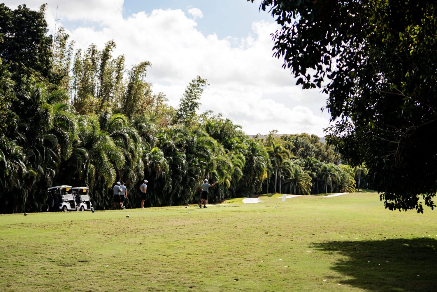 A group of people playing frisbee golf on the grass.