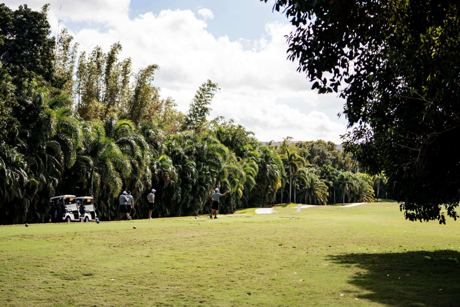 A group of people playing frisbee golf on the grass.