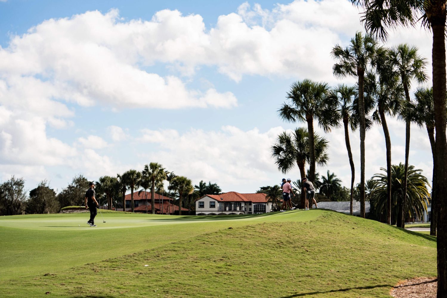 A person playing golf on the green