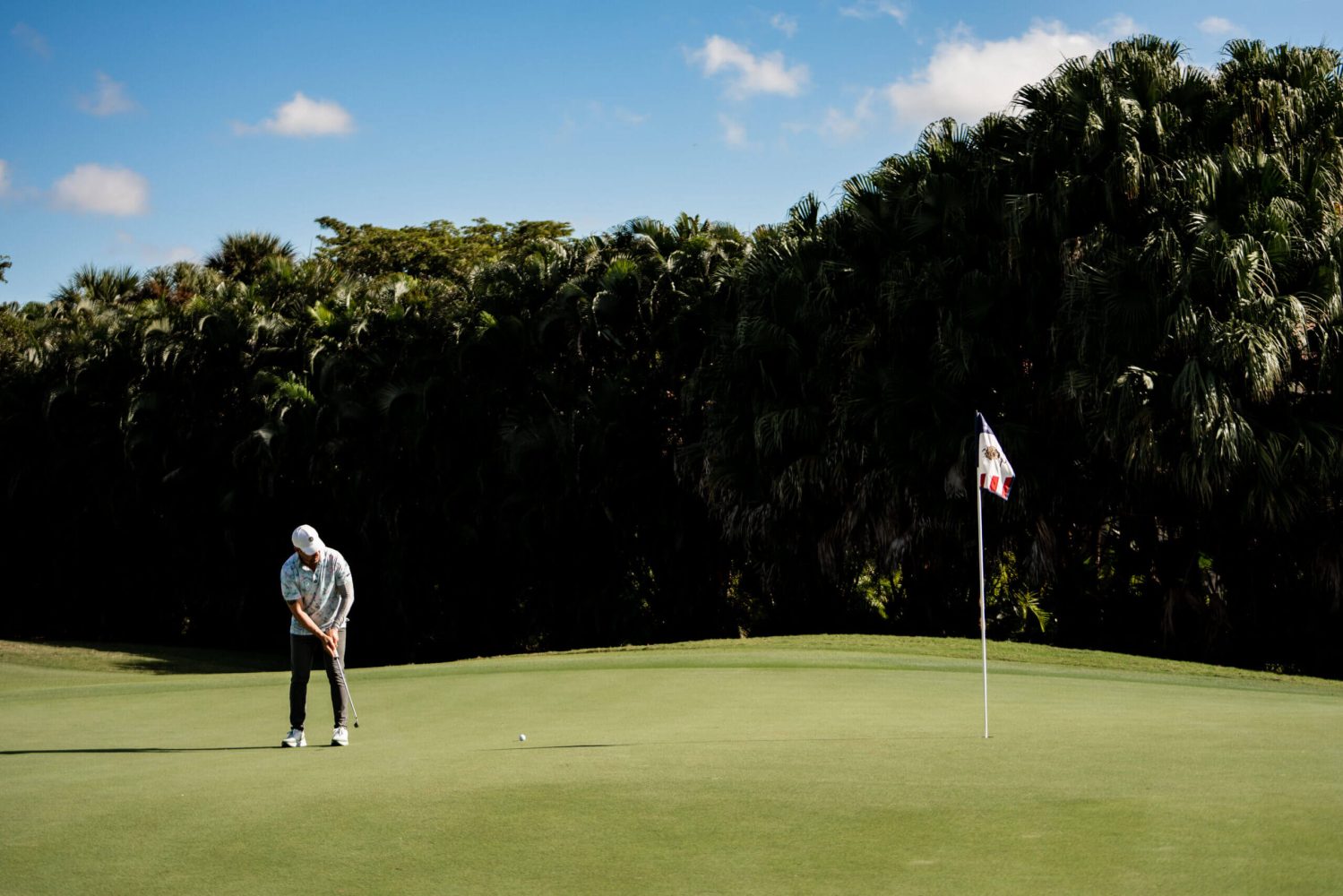 A man is playing golf on the green