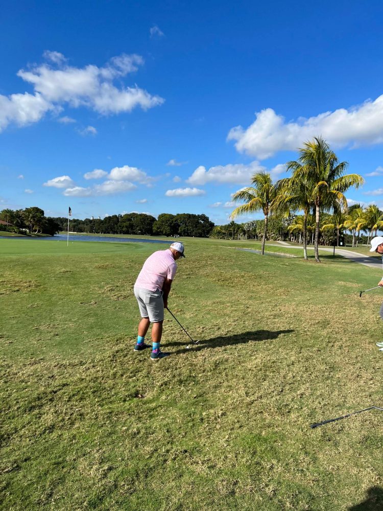 A man is playing golf on the grass